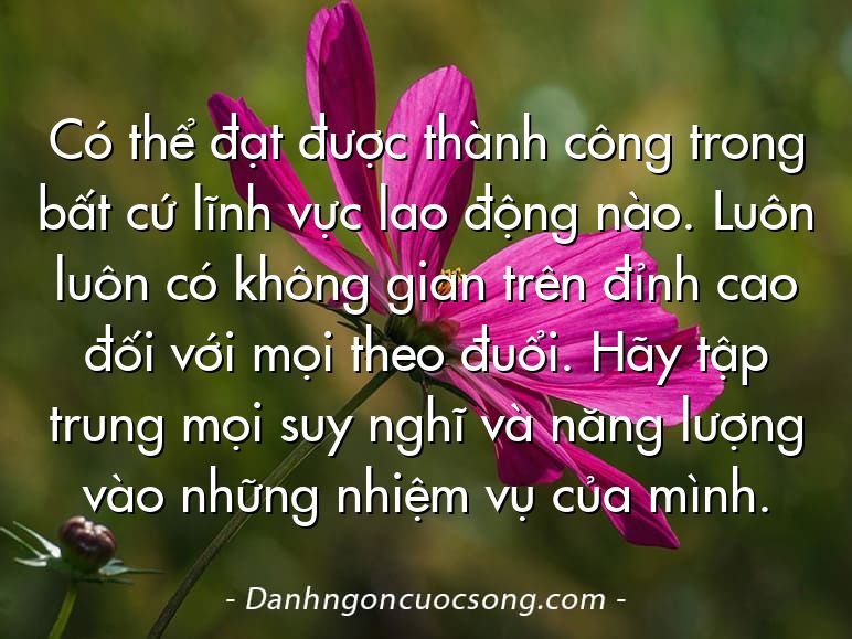 Có thể đạt được thành công trong bất cứ lĩnh vực lao động nào. Luôn luôn có không gian trên đỉnh cao đối với mọi theo đuổi. Hãy tập trung mọi suy nghĩ và năng lượng vào những nhiệm vụ của mình.