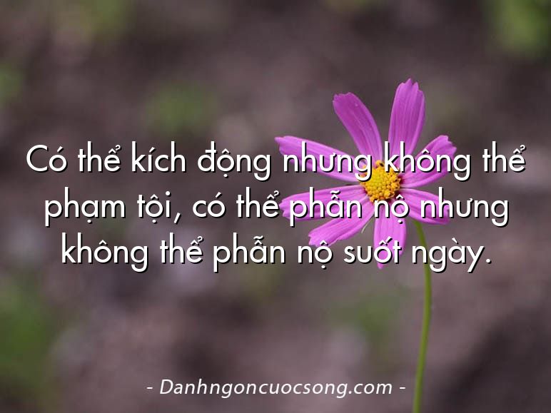 Có thể kích động nhưng không thể phạm tội, có thể phẫn nộ nhưng không thể phẫn nộ suốt ngày.