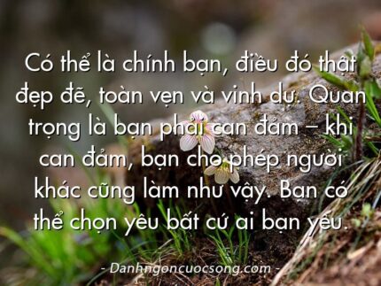 Có thể là chính bạn, điều đó thật đẹp đẽ, toàn vẹn và vinh dự. Quan trọng là bạn phải can đảm – khi can đảm, bạn cho phép người khác cũng làm như vậy. Bạn có thể chọn yêu bất cứ ai bạn yêu.