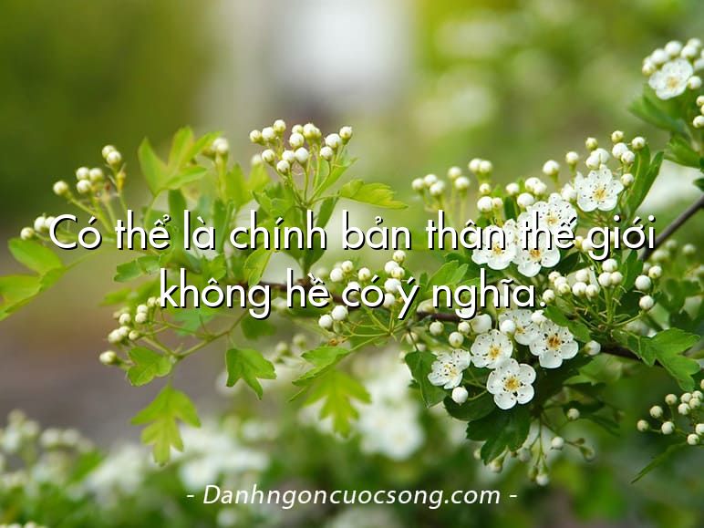 Có thể là chính bản thân thế giới không hề có ý nghĩa.