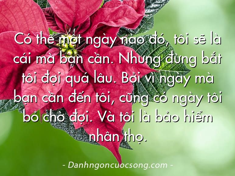 Có thể một ngày nào đó, tôi sẽ là cái mà bạn cần. Nhưng đừng bắt tôi đợi quá lâu. Bởi vì ngày mà bạn cần đến tôi, cũng có ngày tôi bỏ chờ đợi. Và tôi là bảo hiểm nhân thọ.