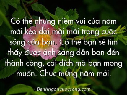 Có thể những niềm vui của năm mới kéo dài mãi mãi trong cuộc sống của bạn. Có thể bạn sẽ tìm thấy được ánh sáng dẫn bạn đến thành công, cái đích mà bạn mong muốn. Chúc mừng năm mới.