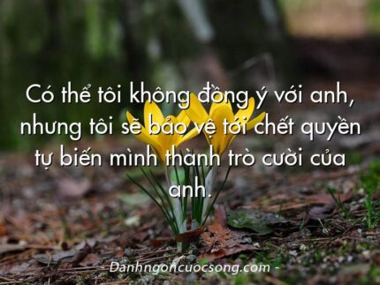 Có thể tôi không đồng ý với anh, nhưng tôi sẽ bảo vệ tới chết quyền tự biến mình thành trò cười của anh.