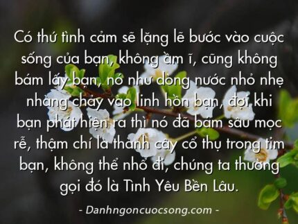 Có thứ tình cảm sẽ lặng lẽ bước vào cuộc sống của bạn, không ầm ĩ, cũng không bám lấy bạn, nó như dòng nước nhỏ nhẹ nhàng chảy vào linh hồn bạn, đợi khi bạn phát hiện ra thì nó đã bám sâu mọc rễ, thậm chí là thành cây cổ thụ trong tim bạn, không thể nhổ đi, chúng ta thường gọi đó là Tình Yêu Bền Lâu.