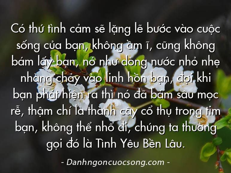 Có thứ tình cảm sẽ lặng lẽ bước vào cuộc sống của bạn, không ầm ĩ, cũng không bám lấy bạn, nó như dòng nước nhỏ nhẹ nhàng chảy vào linh hồn bạn, đợi khi bạn phát hiện ra thì nó đã bám sâu mọc rễ, thậm chí là thành cây cổ thụ trong tim bạn, không thể nhổ đi, chúng ta thường gọi đó là Tình Yêu Bền Lâu.
