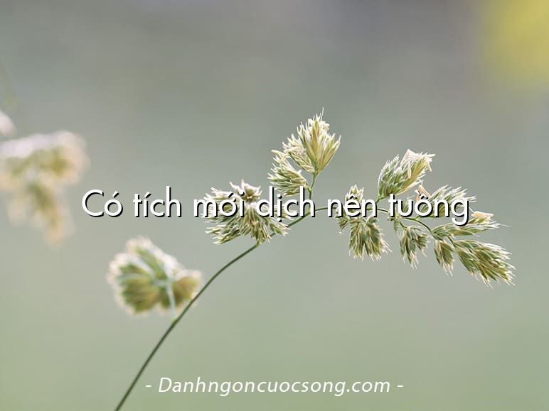 Có tích mới dịch nên tuồng