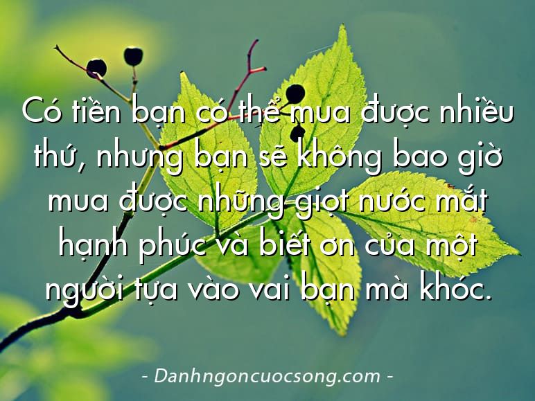Có tiền bạn có thể mua được nhiều thứ, nhưng bạn sẽ không bao giờ mua được những giọt nước mắt hạnh phúc và biết ơn của một người tựa vào vai bạn mà khóc.