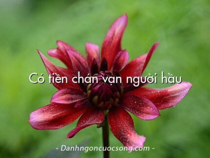 Có tiền chán vạn người hầu