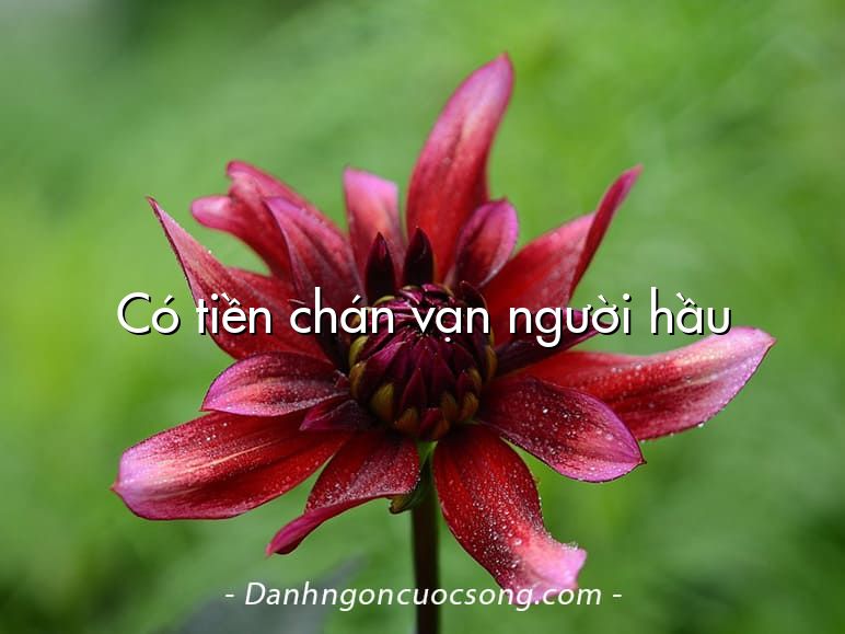 Có tiền chán vạn người hầu