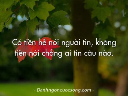 Có tiền hễ nói người tin, không tiền nói chẳng ai tin câu nào.