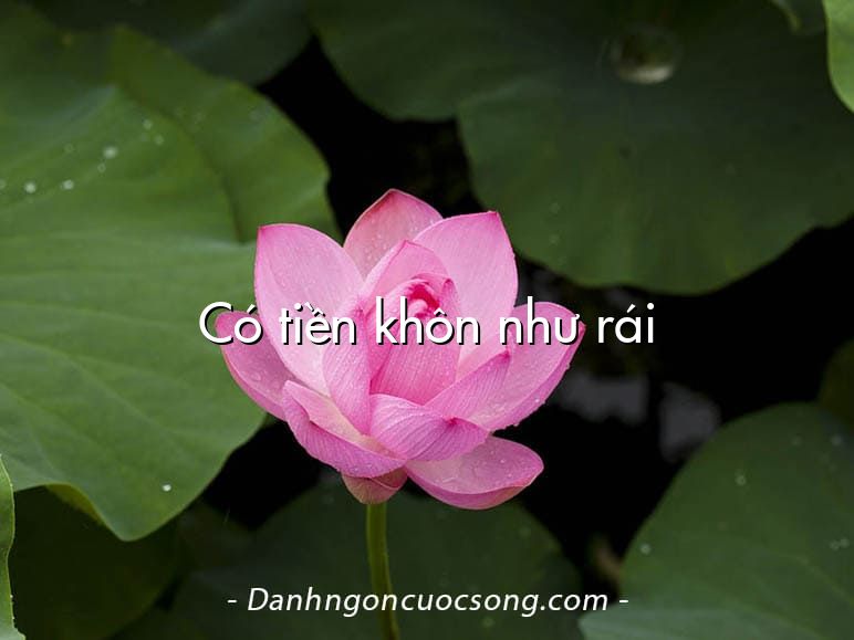 Có tiền khôn như rái