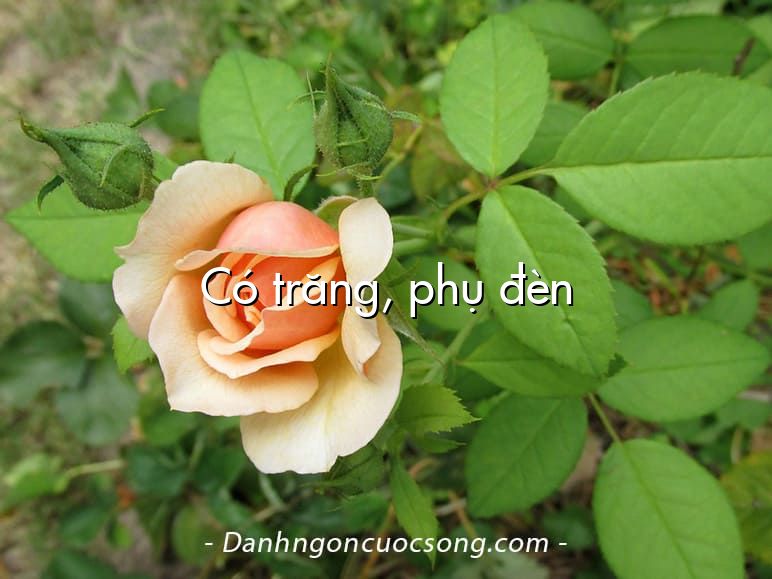 Có trăng, phụ đèn