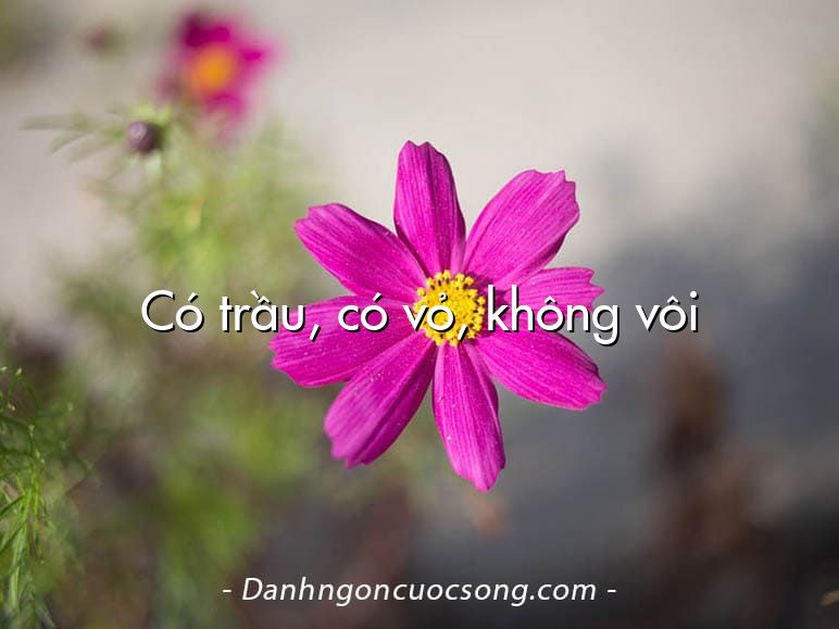 Có trầu, có vỏ, không vôi