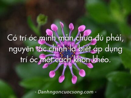Có trí óc minh mẫn chưa đủ phải, nguyên tắc chính là biết áp dụng trí óc một cách khôn khéo.