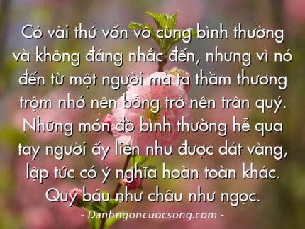 Có vài thứ vốn vô cùng bình thường và không đáng nhắc đến, nhưng vì nó đến từ một người mà ta thầm thương trộm nhớ nên bỗng trở nên trân quý. Những món đồ bình thường hễ qua tay người ấy liền như được dát vàng, lập tức có ý nghĩa hoàn toàn khác. Quý báu như châu như ngọc.