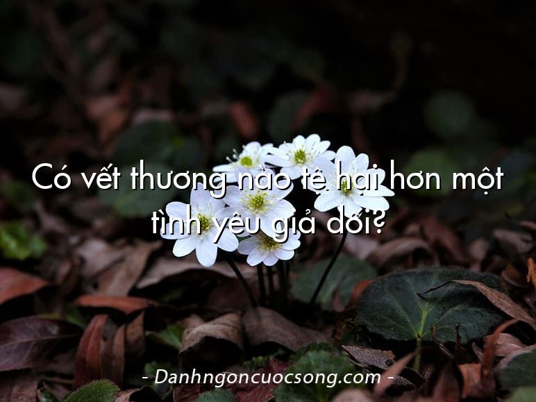 Có vết thương nào tệ hại hơn một tình yêu giả dối?