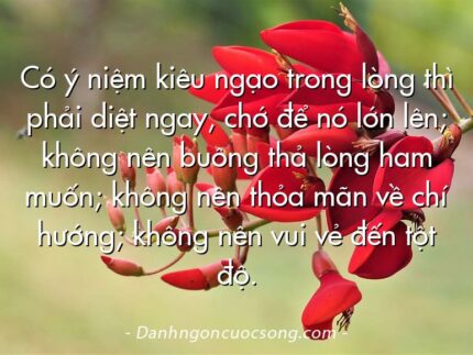 Có ý niệm kiêu ngạo trong lòng thì phải diệt ngay, chớ để nó lớn lên; không nên buông thả lòng ham muốn; không nên thỏa mãn về chí hướng; không nên vui vẻ đến tột độ.