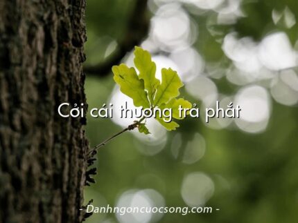 Cởi cái thương trả phắt