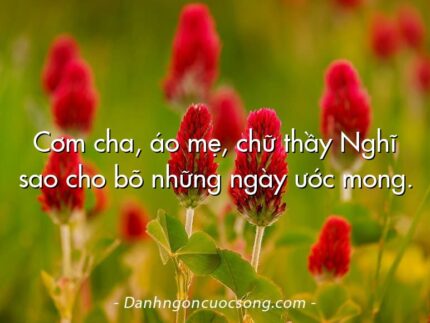 Cơm cha, áo mẹ, chữ thầy Nghĩ sao cho bõ những ngày ước mong.