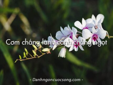 Cơm chẳng lành canh chẳng ngọt