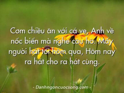 Cơm chiều ăn với cá ve, Anh về nốc biển mà nghe câu hò. Mấy người hát tối hôm qua, Hôm nay ra hát cho ra hát cùng.