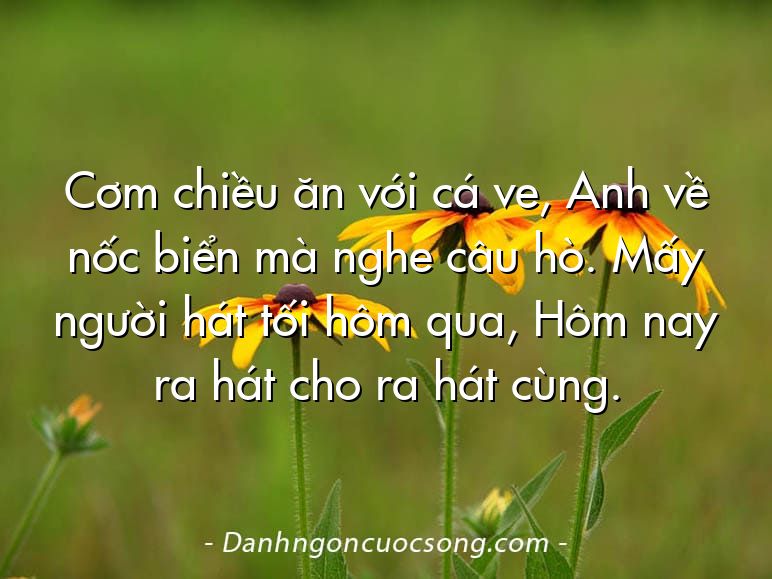 Cơm chiều ăn với cá ve, Anh về nốc biển mà nghe câu hò. Mấy người hát tối hôm qua, Hôm nay ra hát cho ra hát cùng.