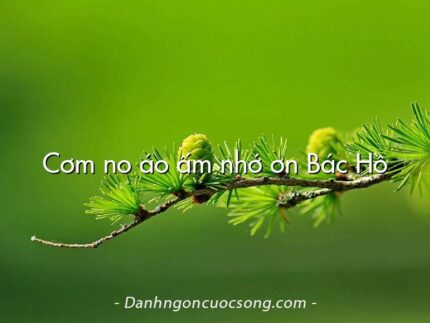 Cơm no áo ấm nhớ ơn Bác Hồ