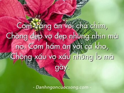 Cơm trắng ăn với chả chim, Chồng đẹp vợ đẹp những nhìn mà no. Cơm hẩm ăn với cá kho, Chồng xấu vợ xấu những lo mà gầy.