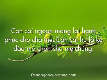 Con cái ngoan mang lại hạnh phúc cho cha mẹ. Con cái hư là kẻ đào mồ chôn cha mẹ chúng.