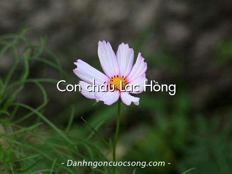 Con cháu Lạc Hồng