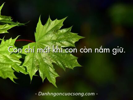 Con chỉ mất khi con còn nắm giữ.