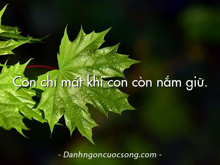 Con chỉ mất khi con còn nắm giữ.