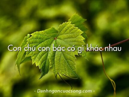Con chú con bác có gì khác nhau