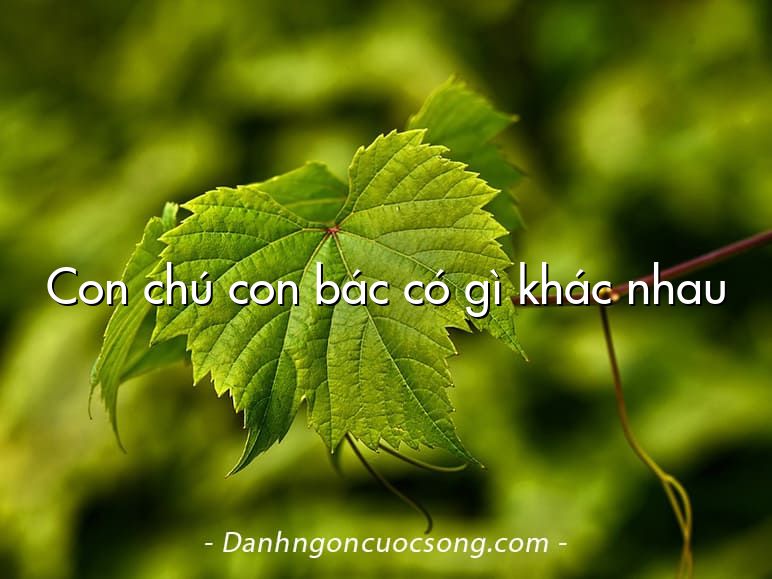 Con chú con bác có gì khác nhau