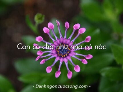 Con có cha như nhà có nóc