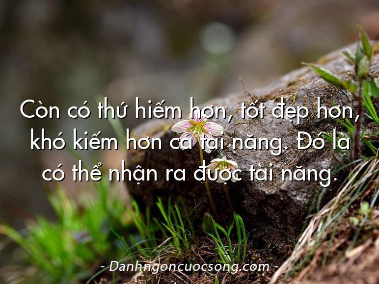 Còn có thứ hiếm hơn, tốt đẹp hơn, khó kiếm hơn cả tài năng. Đó là có thể nhận ra được tài năng.