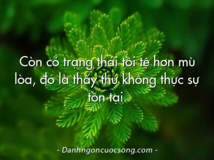 Còn có trạng thái tồi tệ hơn mù lòa, đó là thấy thứ không thực sự tồn tại.