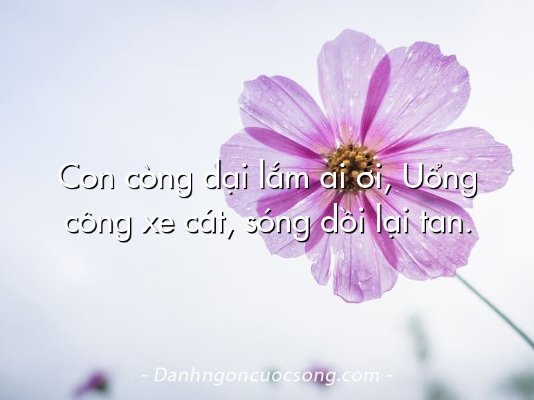 Con còng dại lắm ai ơi, Uổng công xe cát, sóng dồi lại tan.