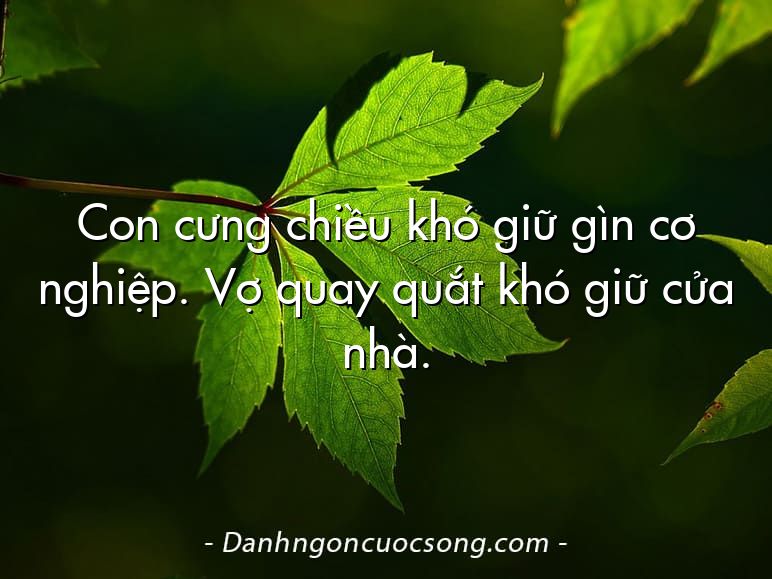 Con cưng chiều khó giữ gìn cơ nghiệp. Vợ quay quắt khó giữ cửa nhà.
