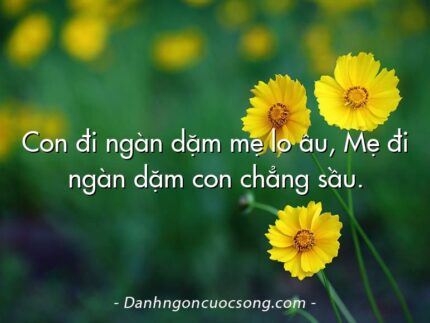 Con đi ngàn dặm mẹ lo âu, Mẹ đi ngàn dặm con chẳng sầu.