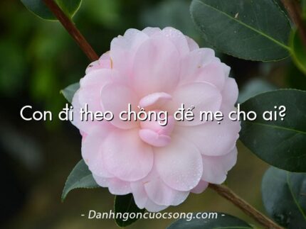 Con đi theo chồng để mẹ cho ai?