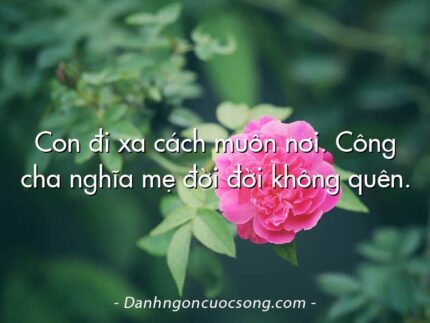 Con đi xa cách muôn nơi. Công cha nghĩa mẹ đời đời không quên.