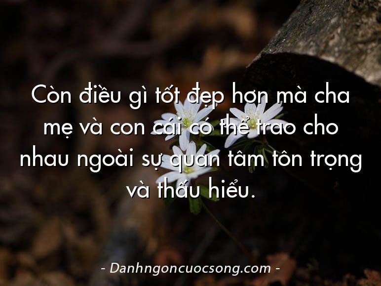 Còn điều gì tốt đẹp hơn mà cha mẹ và con cái có thể trao cho nhau ngoài sự quan tâm tôn trọng và thấu hiểu.