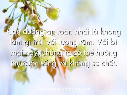 Con đường an toàn nhất là không làm gì trái với lương tâm. Với bí mật này, chúng ta có thể hưởng thụ cuộc sống và không sợ chết.