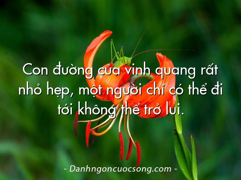 Con đường của vinh quang rất nhỏ hẹp, một người chỉ có thể đi tới không thể trở lui.