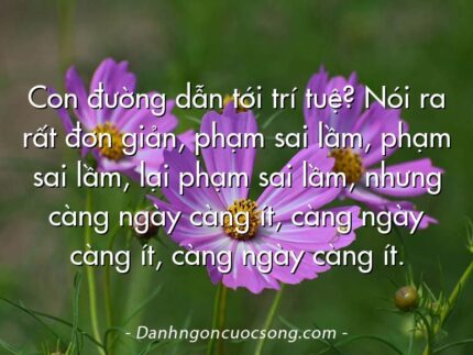 Con đường dẫn tới trí tuệ? Nói ra rất đơn giản, phạm sai lầm, phạm sai lầm, lại phạm sai lầm, nhưng càng ngày càng ít, càng ngày càng ít, càng ngày càng ít.