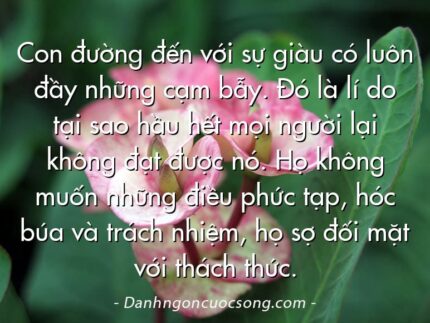 Con đường đến với sự giàu có luôn đầy những cạm bẫy. Đó là lí do tại sao hầu hết mọi người lại không đạt được nó. Họ không muốn những điều phức tạp, hóc búa và trách nhiệm, họ sợ đối mặt với thách thức.