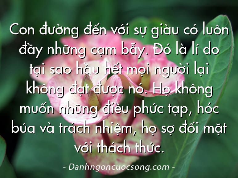 Con đường đến với sự giàu có luôn đầy những cạm bẫy. Đó là lí do tại sao hầu hết mọi người lại không đạt được nó. Họ không muốn những điều phức tạp, hóc búa và trách nhiệm, họ sợ đối mặt với thách thức.