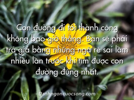 Con đường đi tới thành công không bao giờ thẳng. Bạn sẽ phải trả giá bằng những ngã rẽ sai lầm nhiều lần trước khi tìm được con đường đúng nhất.
