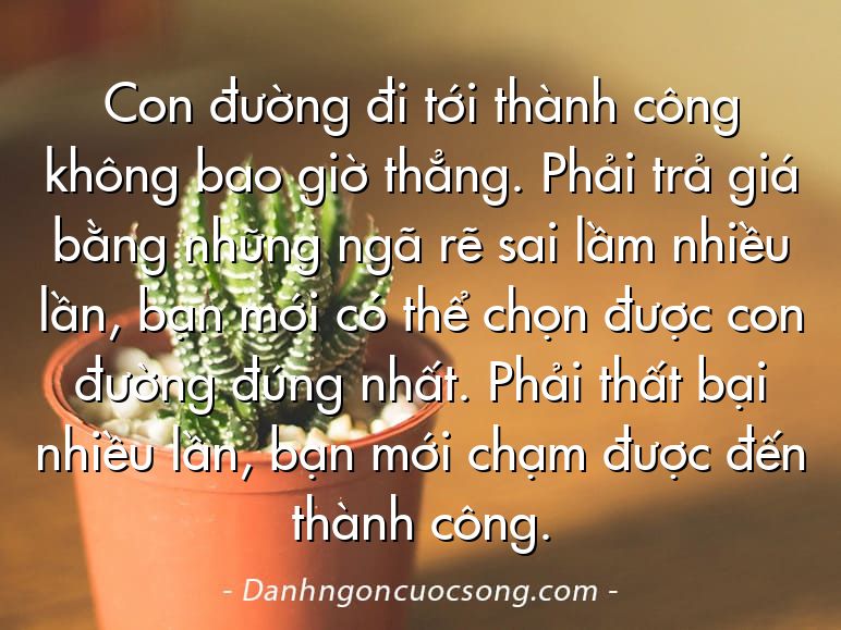Con đường đi tới thành công không bao giờ thẳng. Phải trả giá bằng những ngã rẽ sai lầm nhiều lần, bạn mới có thể chọn được con đường đúng nhất. Phải thất bại nhiều lần, bạn mới chạm được đến thành công.